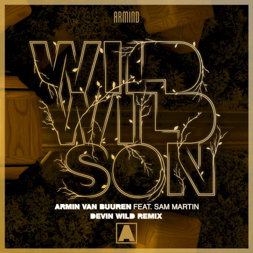 Wild Wild Son (Devin Wild remix)