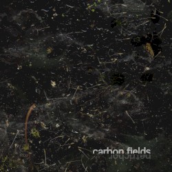 Petrichor