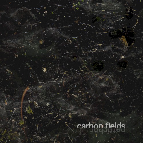 Petrichor