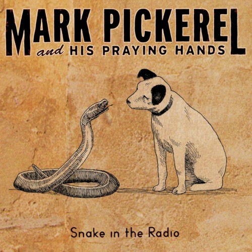 Snake in the Radio