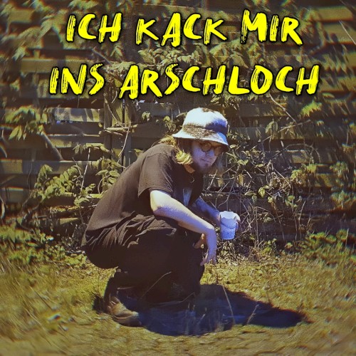 Ich kack mir ins Arschloch