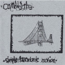 Simple Harmonic Motion