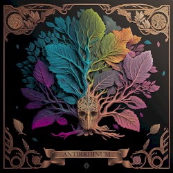 Antirrhinum
