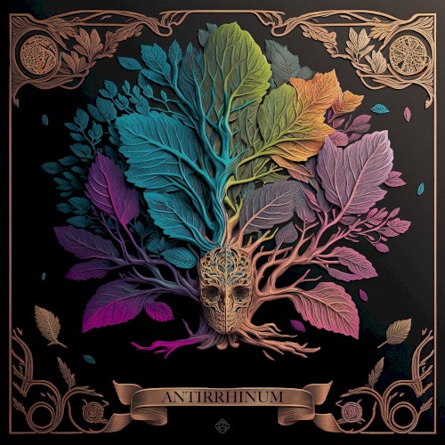 Antirrhinum