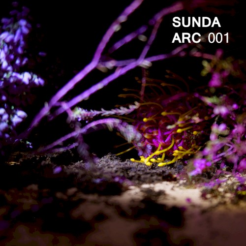 Sunda Arc 001