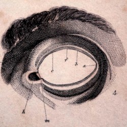 The Mind's Eye EP