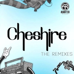 The Remixes
