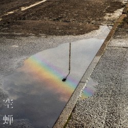 空蝉