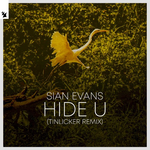 Hide U (Tinlicker remix)