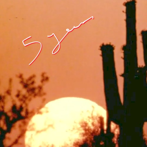 5 YEARS メガミックス