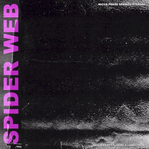 Spider Web