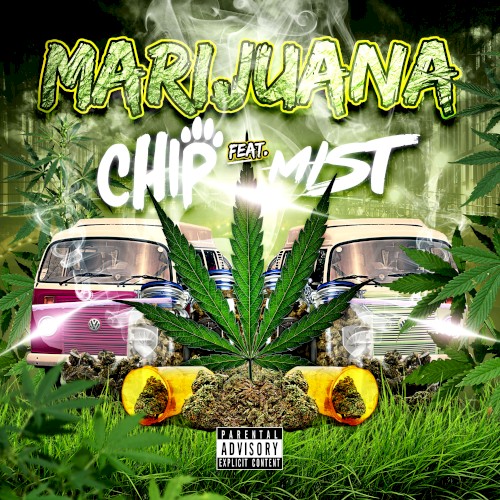 Marijuana