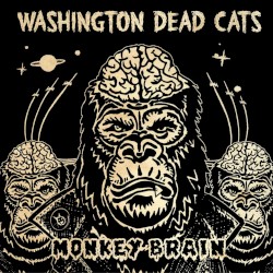 Monkey Brain