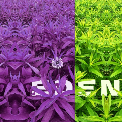 eden