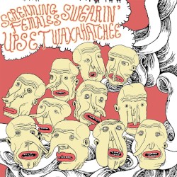 Guided by Voices Tribute
