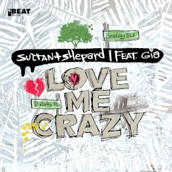 Love Me Crazy