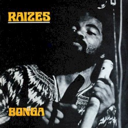 Raizes