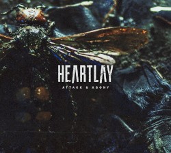 Attack & Agony