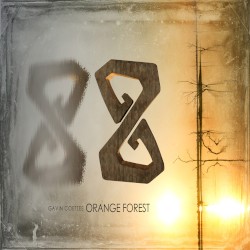 Orange Forest