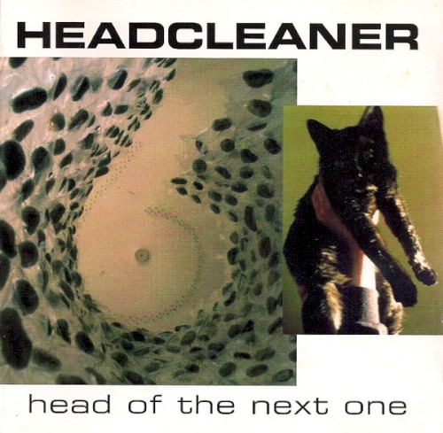 Head of the Next One