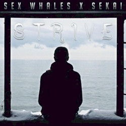 Strive