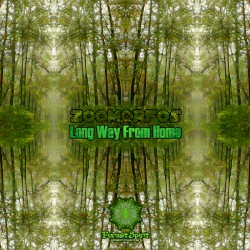 Long Way From Home