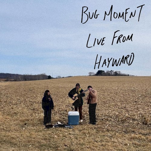 Bug Moment Live From Hayward