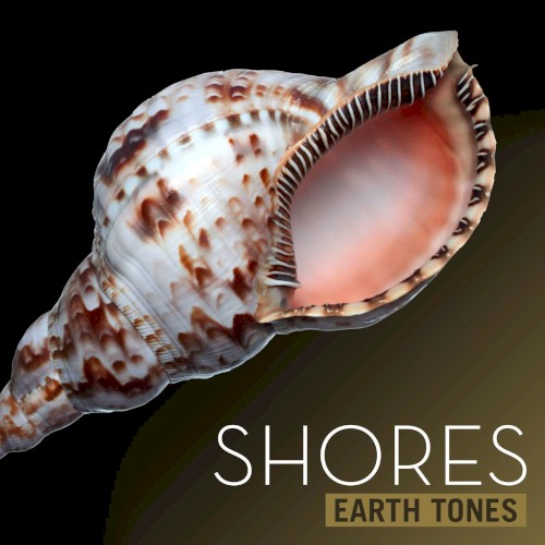 Shores