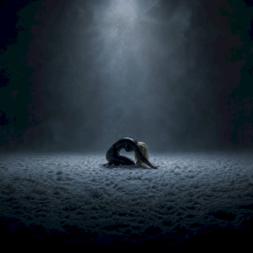Crawl