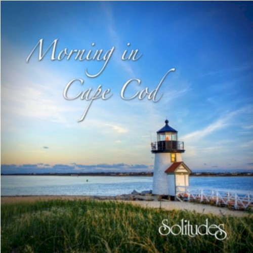 Morning in Cape Cod