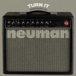 Turn It (David Kano remix)