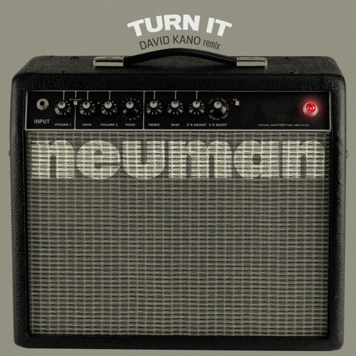 Turn It (David Kano remix)