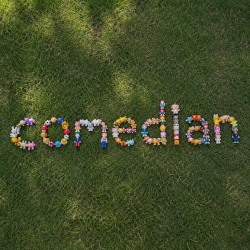 comedian