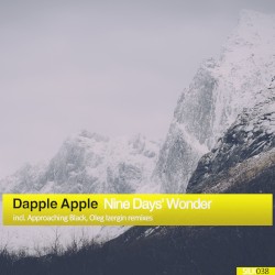 Nine Days' Wonder