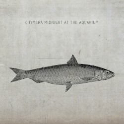 Midnight at the Aquarium