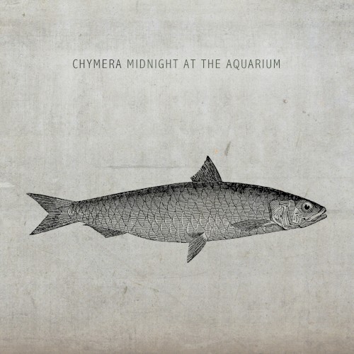 Midnight at the Aquarium