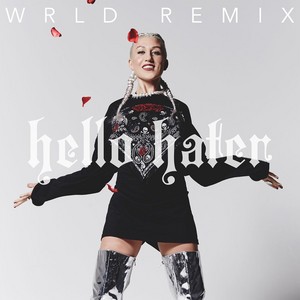 Hello Hater (WRLD Remix)