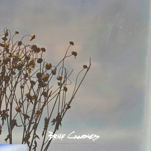 Unfinished Nature