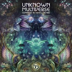 Unknown Multiverse