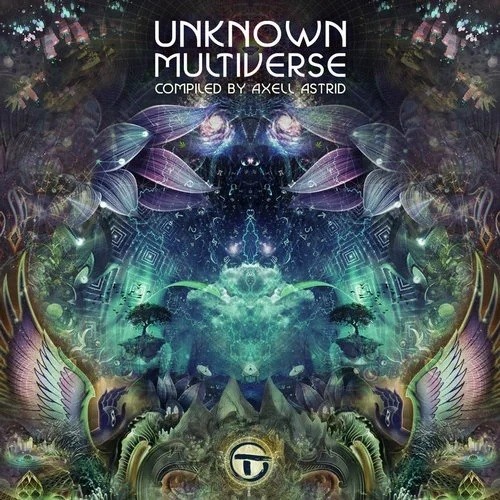 Unknown Multiverse