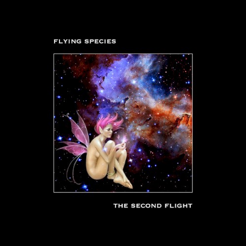 The Second Flight