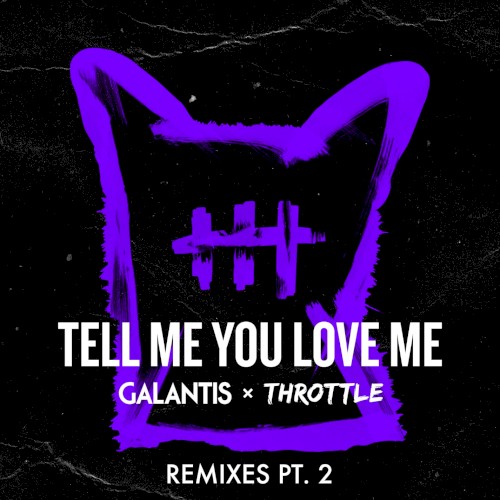 Tell Me You Love Me (Remixes, Pt. 2)