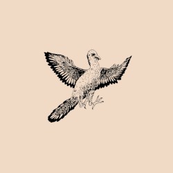Paravian Sequences