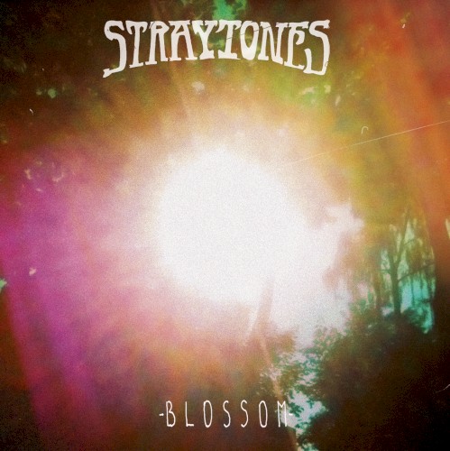 Blossom
