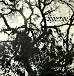 Synergy