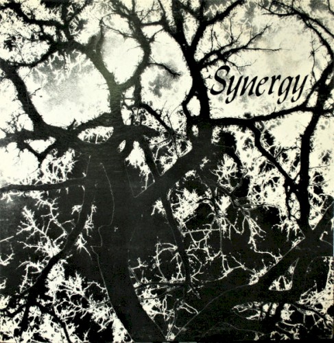 Synergy