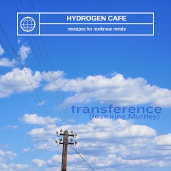 Transference