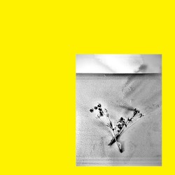 Cuorentein (The Genesis of Monocellular Life Was Absurdly Improbable and Thus Hence Therefore the Existence of Consciousness Is Impossible) [Abolish the Apostrophe.]