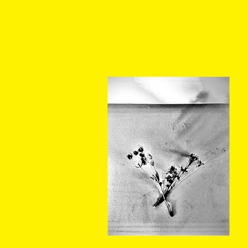 Cuorentein (The Genesis of Monocellular Life Was Absurdly Improbable and Thus Hence Therefore the Existence of Consciousness Is Impossible) [Abolish the Apostrophe.]