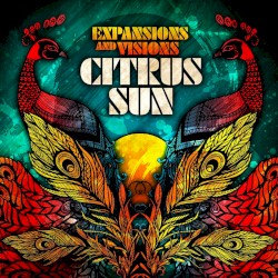 Expansions and Visions